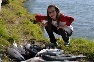 A day's catch of sockeye salmon on the banks of the Kenai River at Ana's Bed and Breakfast.