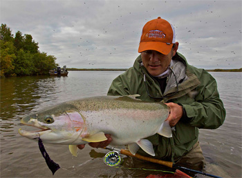 Kenai Trophy Rainbow Trout fishing